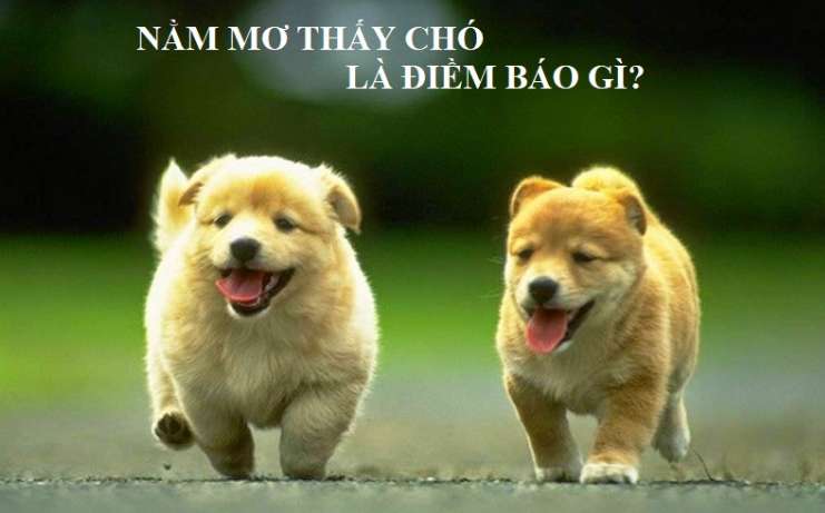 Bạn biết bao nhiêu về 100Bet? - 100Bet