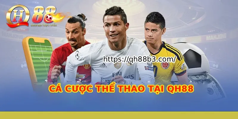 Kế hoạch thăng hạng cầu thủ cấp Gg8 - Gg8
