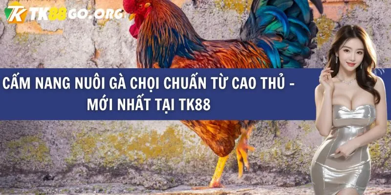 85Win đã chia sẻ những mẹo chiến thắng Xoc Dia từ các người chơi chuyên nghiệp - 85Win