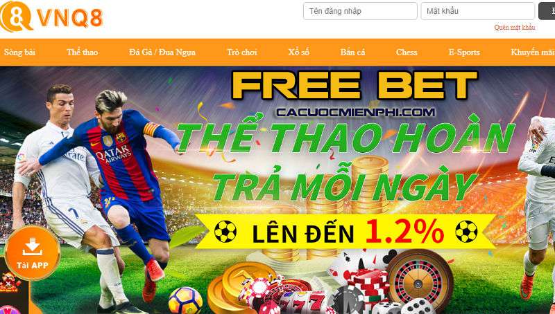 Chất lượng dịch vụ do Công ty 23Vip Games cung cấp - 23Vip
