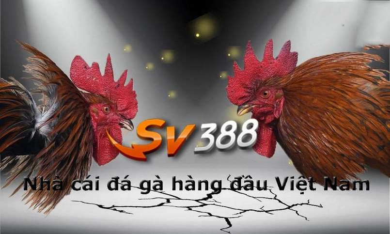 Liên kết mở khóa cuối cùng cho Ev8 - Ev8