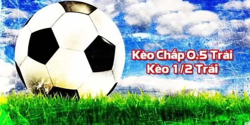 Trải nghiệm thực tế ảo trong một đấu trường đá gà đẳng cấp 888B - 888B