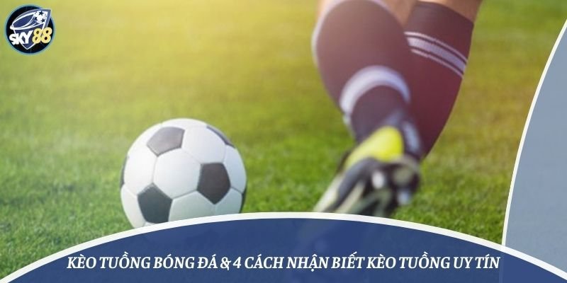 Những điểm chính của giải thưởng M88 - M88