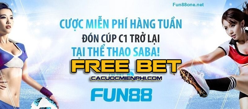An toàn và Phúc lợi Qqvn - Qqvn