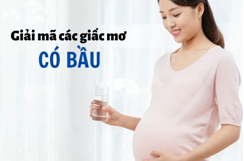 Cách đăng ký tham gia các hoạt động giải trí 11Vn một cách dễ dàng - 11Vn