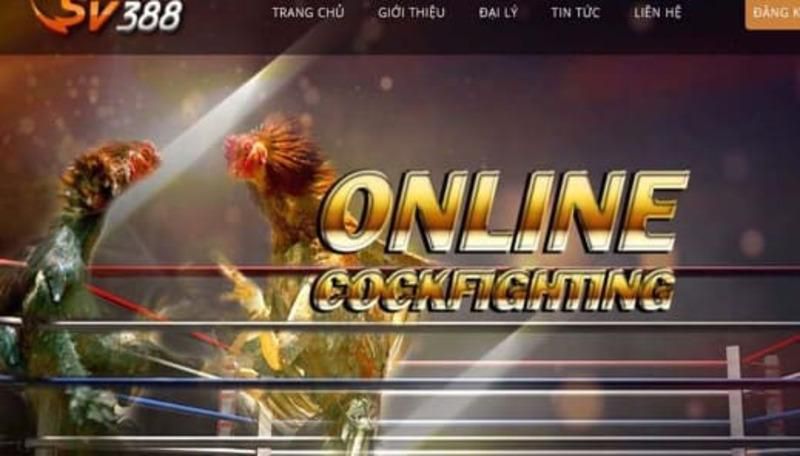Hãy xem các chương trình khuyến mãi và giảm giá của Vn68 - Vn68