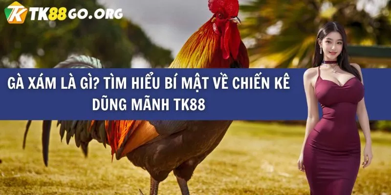 Liên kết Jili đến Jili (Jili) mới nhất vào năm 2026 là gì? - Jili