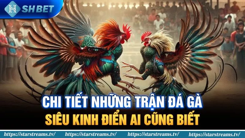 Đổi phần thưởng – Chơi game tại BMLuck8 và giành những phần thưởng tuyệt vời! - Luck8