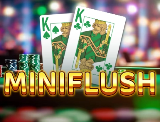 Miniflush
